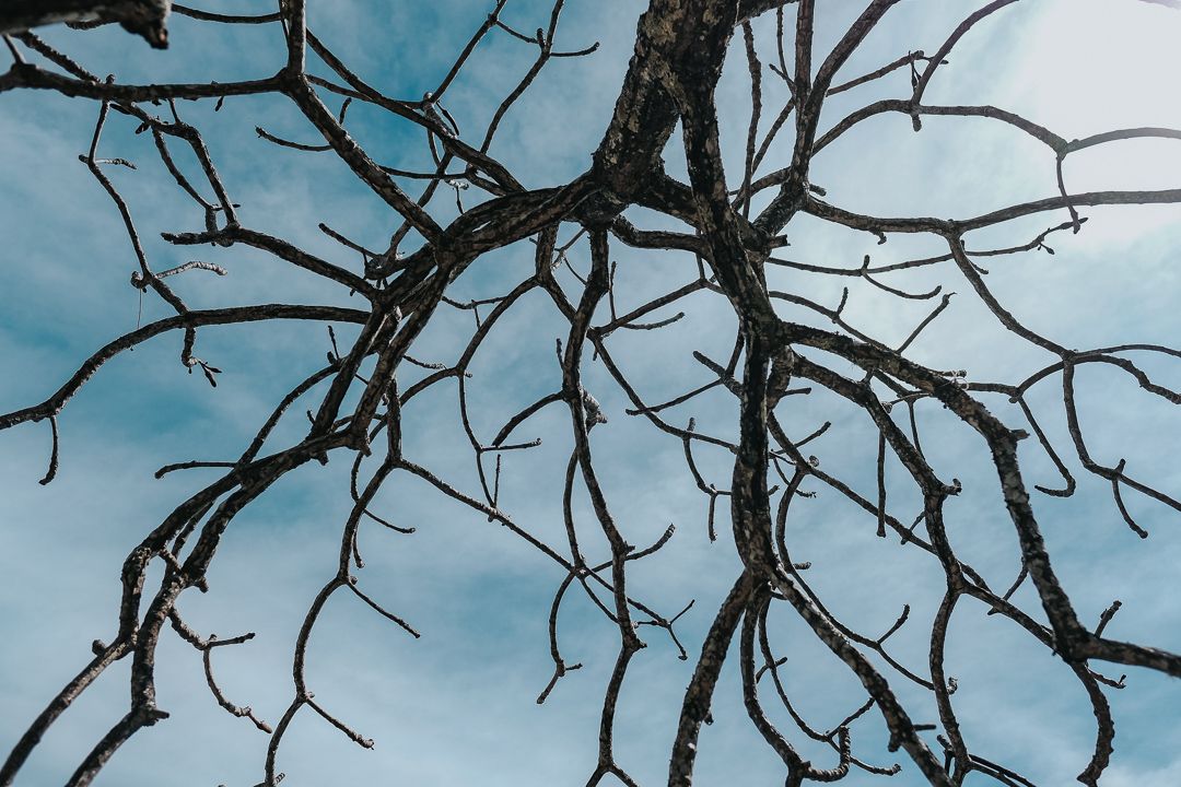 Fragmentos dos 3 - Chapada dos Veadeiros - 1 - 8