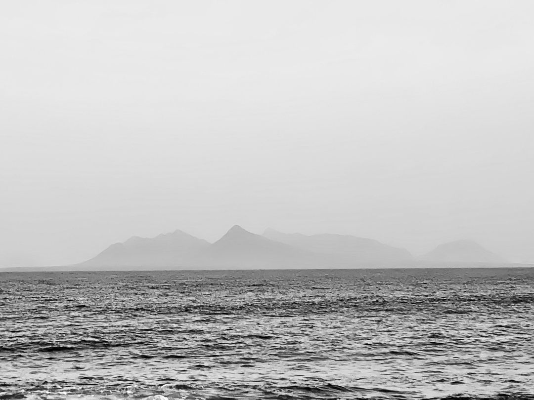 PETRIFICADOS - 1 - 15