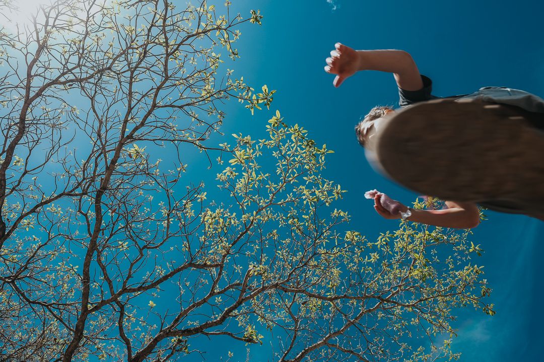 Fragmentos dos 3 - Chapada dos Veadeiros - 1 - 19