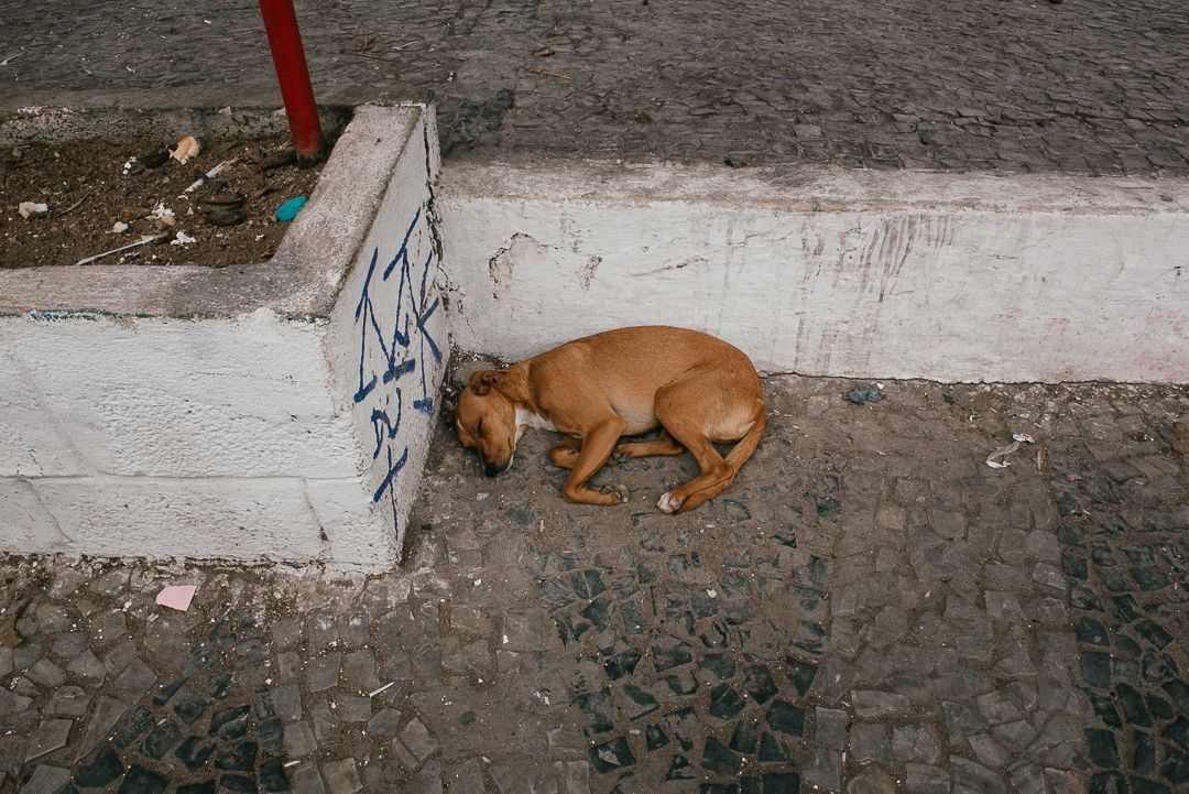 Debaixo da Terceira Ponte. - 1 - 0