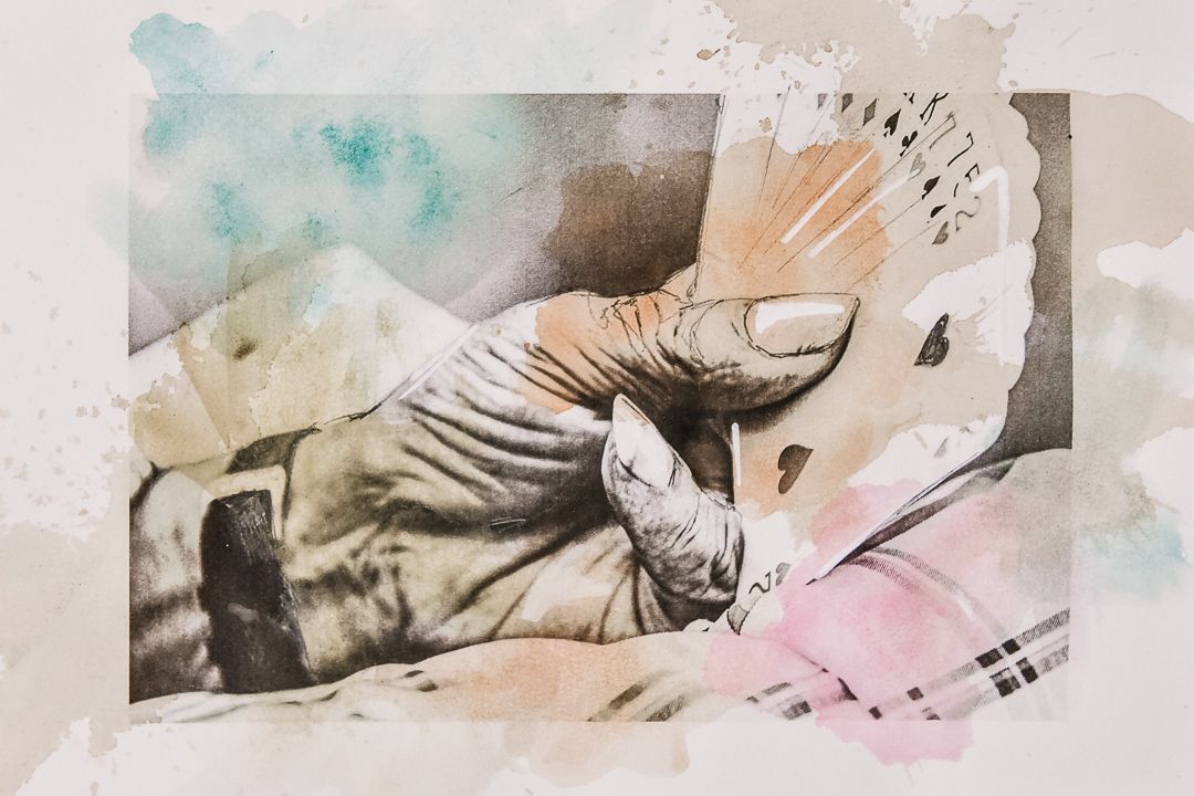 Intervenções - 1 - 14