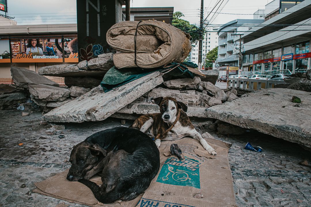 Debaixo da Terceira Ponte. - 1 - 16
