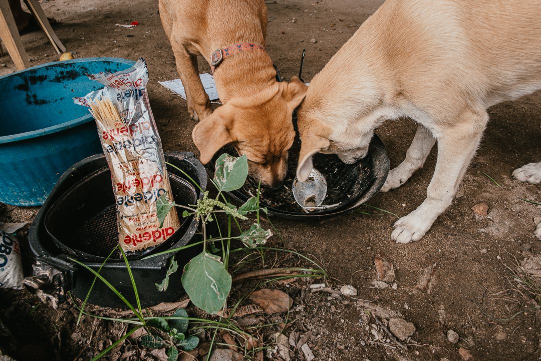 Debaixo da Terceira Ponte. - 1 - 50