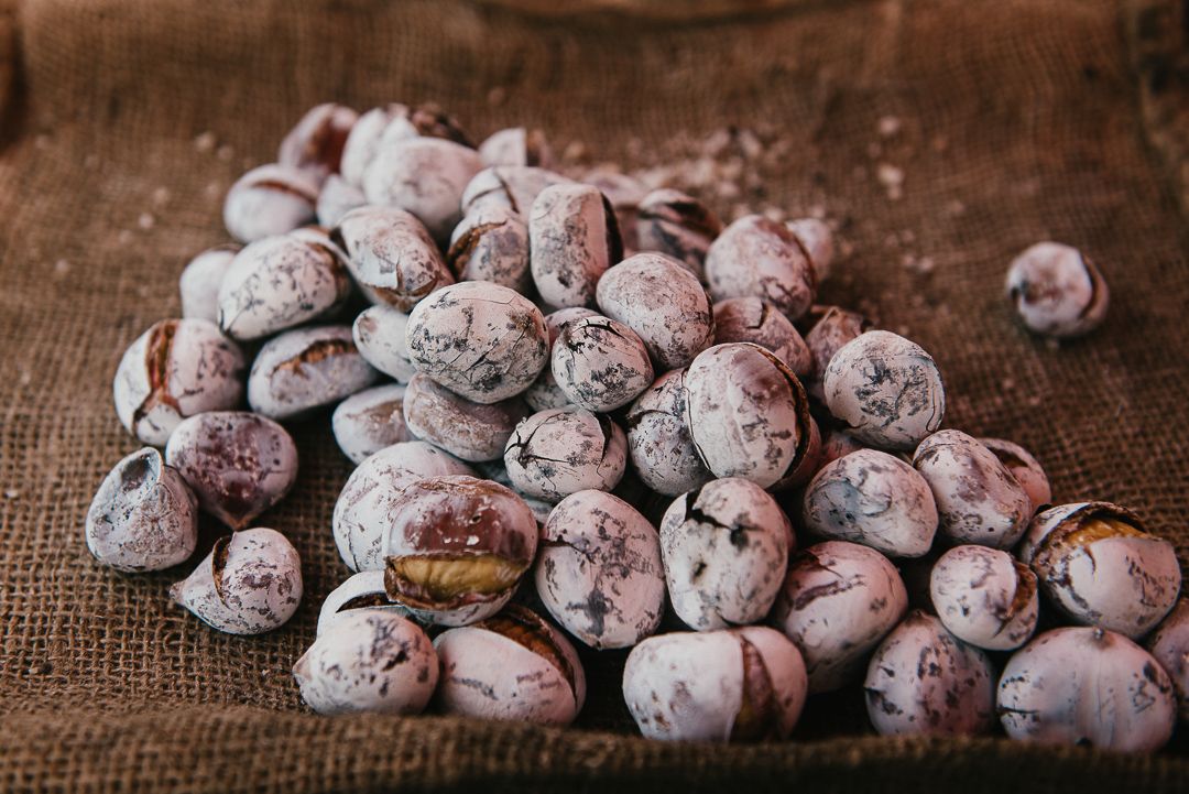 Tiago das Castanhas Assadas - 1 - 1