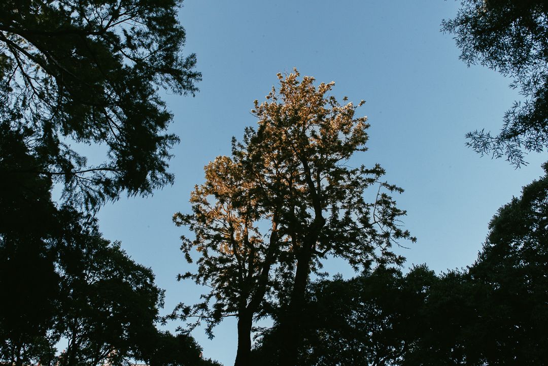 Jogadores de Carta - 1 - 3