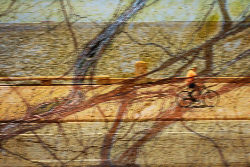 Tatuagens da Alma, Corpo e Seus Movimentos - 1 - 0