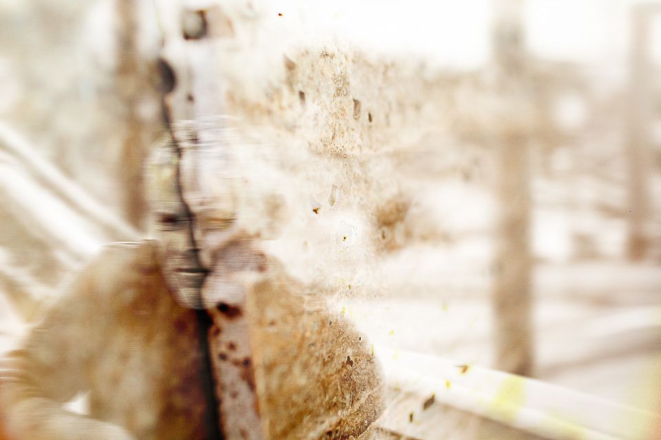 Tatuagens da Alma, Corpo e Seus Movimentos - 1 - 5