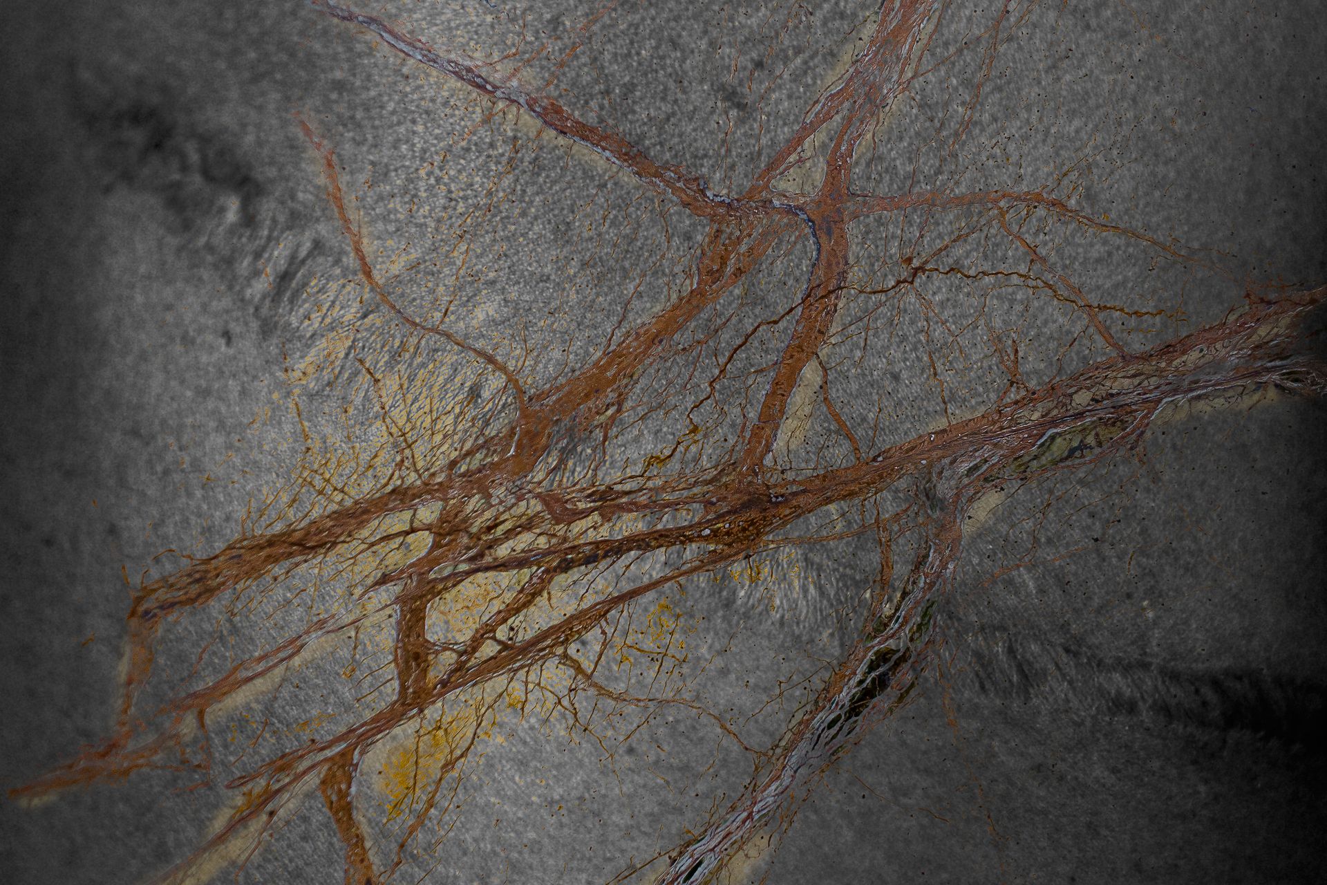 Tatuagens da Alma, Corpo e Seus Movimentos - 1 - 10