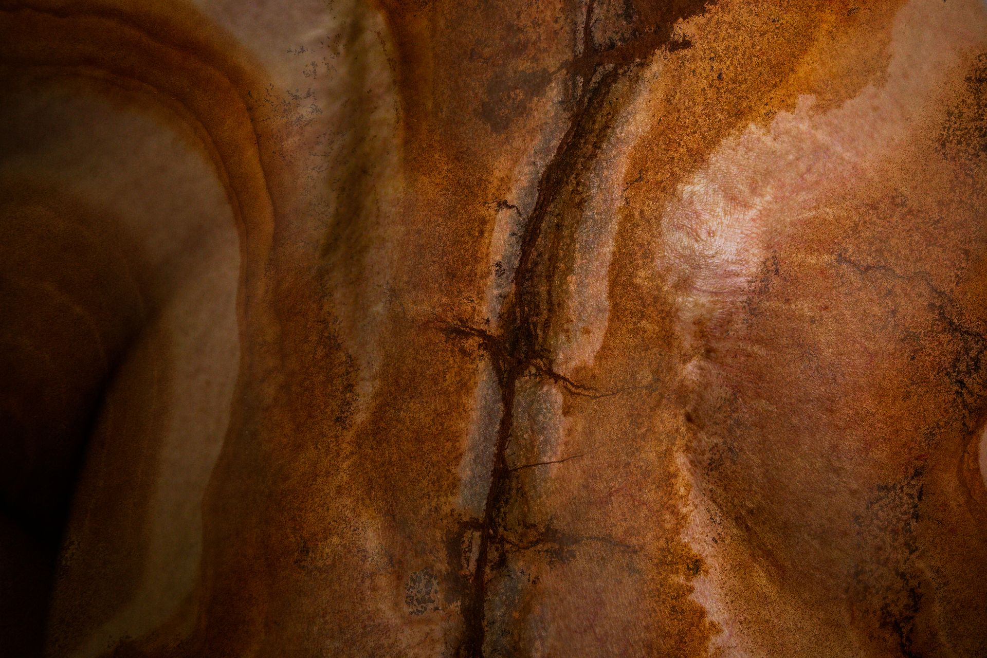 Tatuagens da Alma, Corpo e Seus Movimentos - 1 - 12