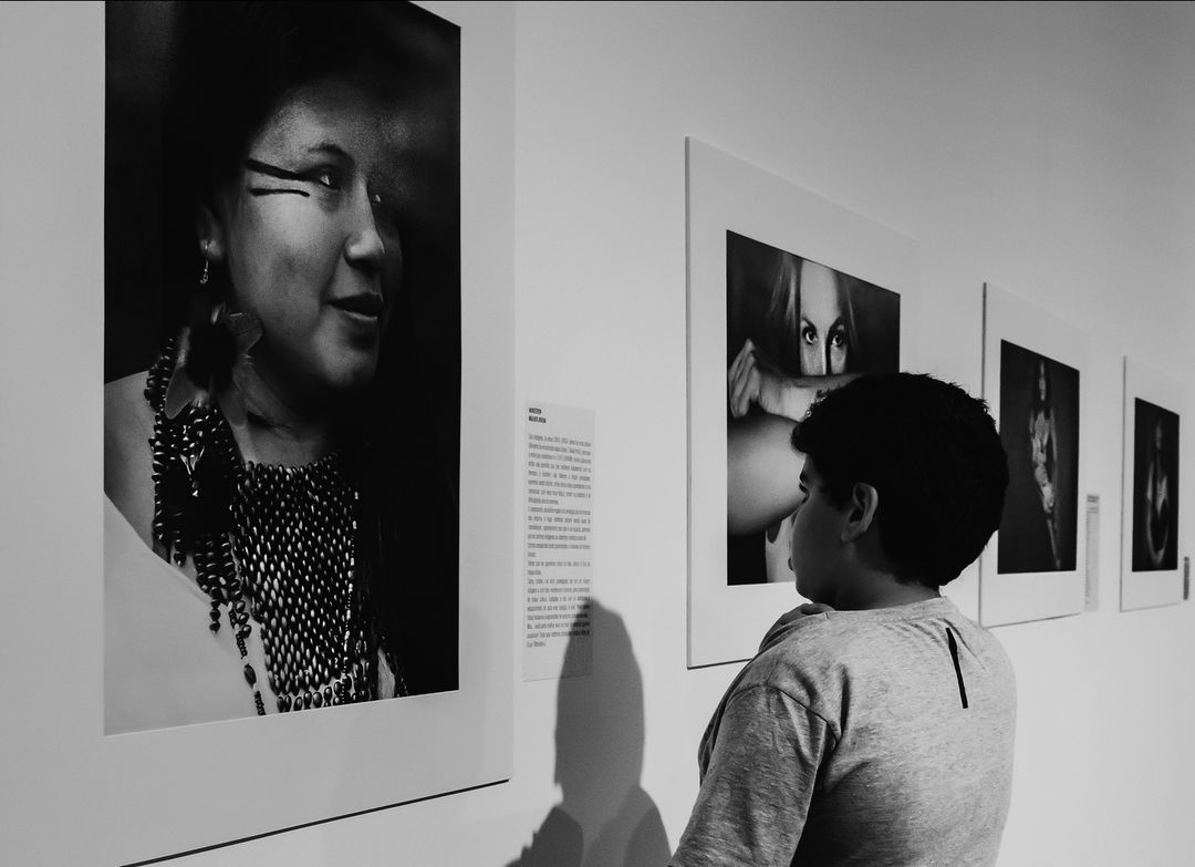 Exhibitions in Brazil  / Malu Ornelas- AlfaAgency - 3 - 0