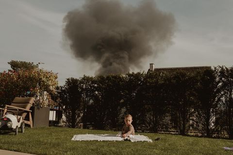 Domestic Nature - 3 - 0