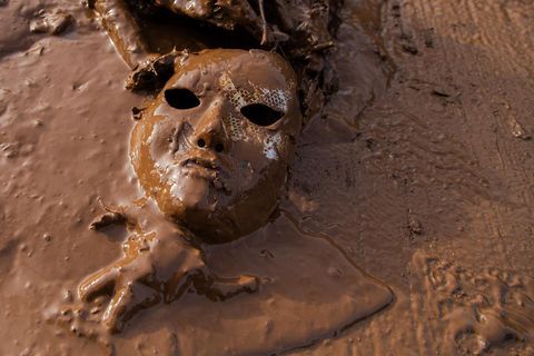 Domestic Nature - 3 - 2