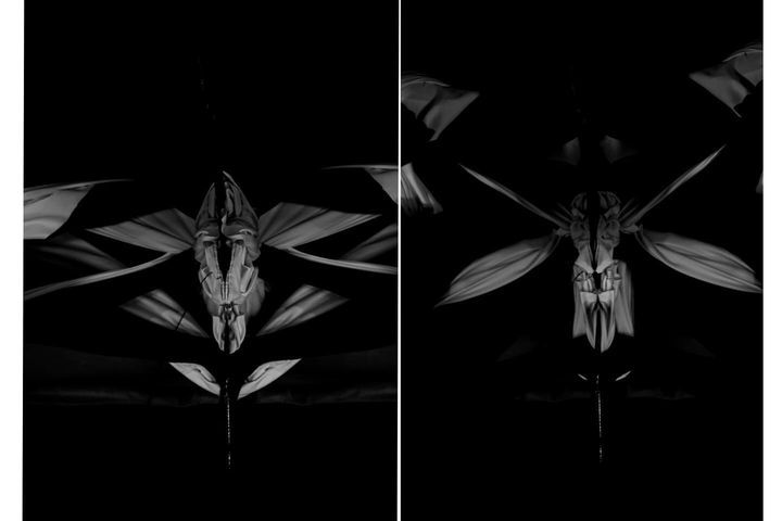 A Natureza de Tudo. Em Todas As Coisas. - 3 - 1