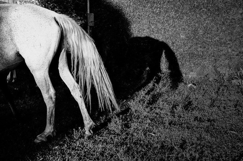 A Natureza de Tudo. Em Todas As Coisas. - 3 - 3