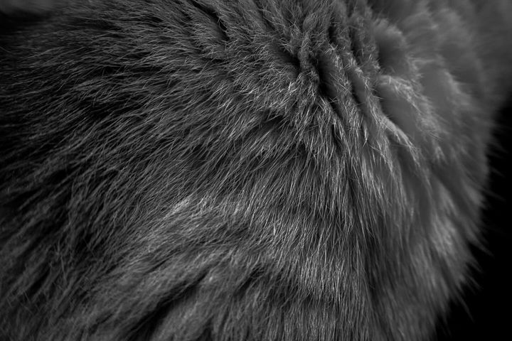 A Natureza de Tudo. Em Todas As Coisas. - 3 - 4