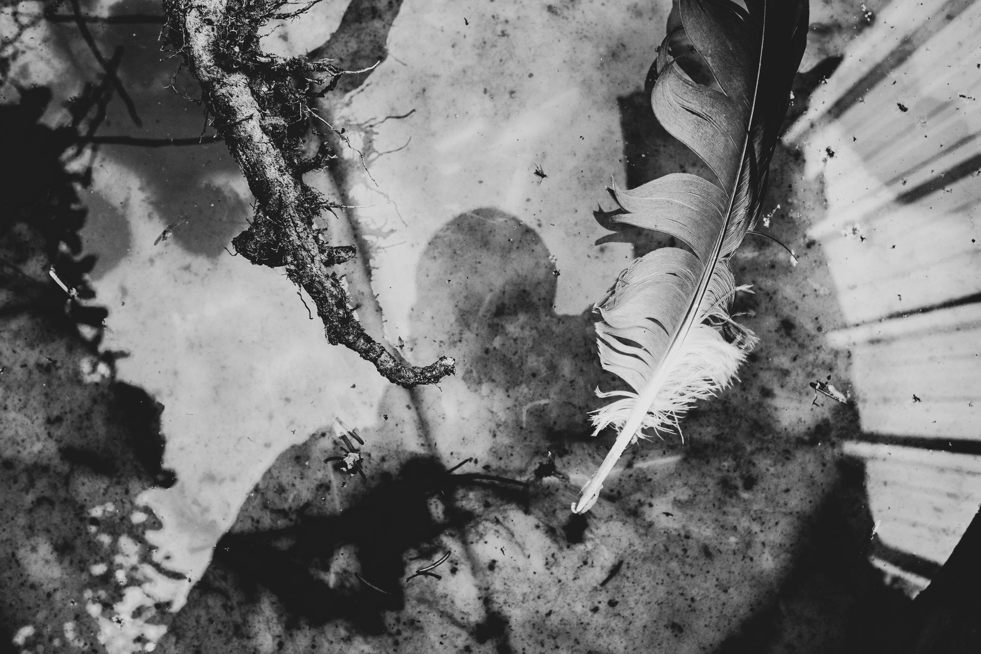 ESPORO - Cape Verde Migratory Exodus by António Cruz - 2 - 11