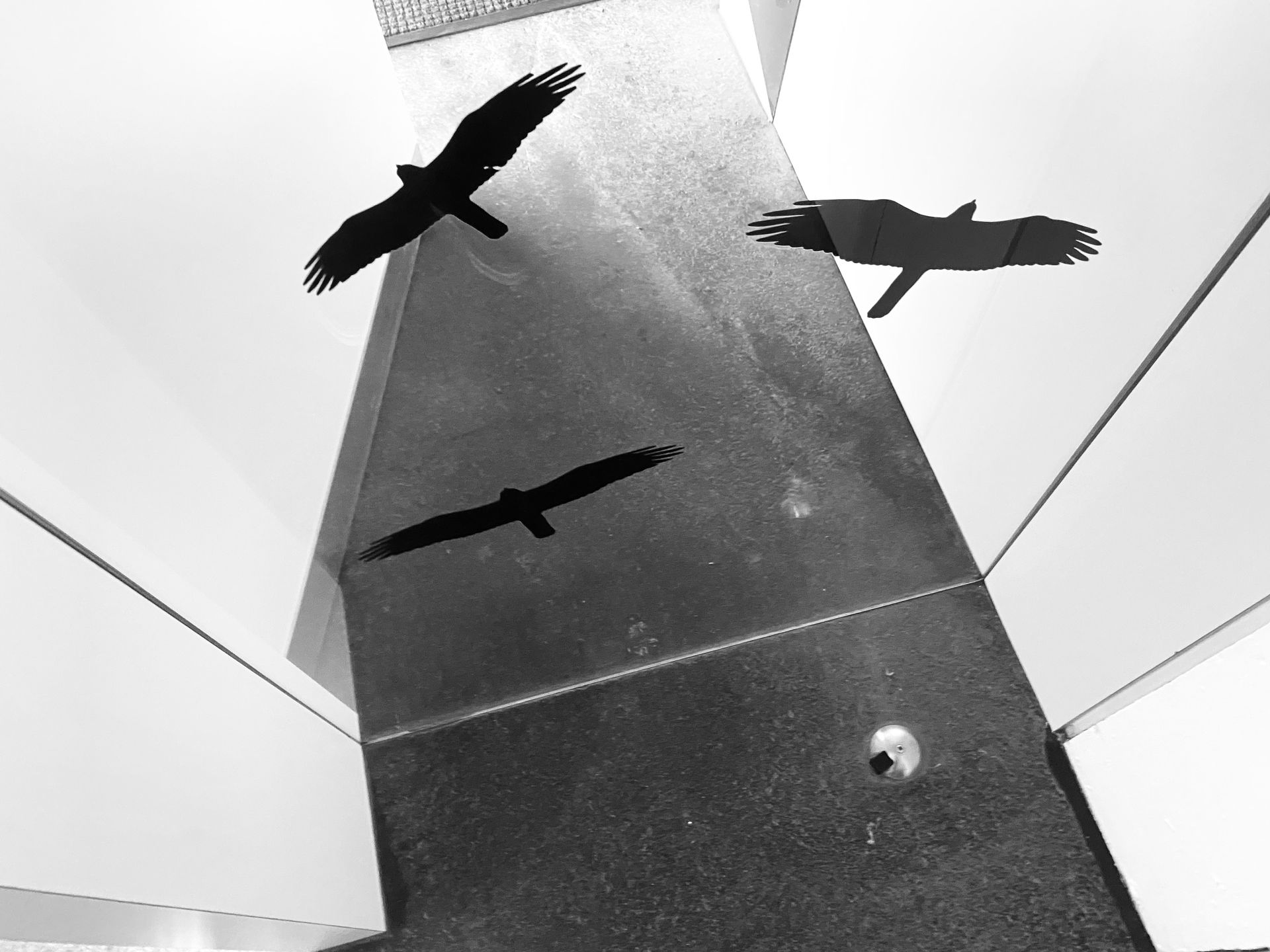 ESPORO - Cape Verde Migratory Exodus by António Cruz - 2 - 47