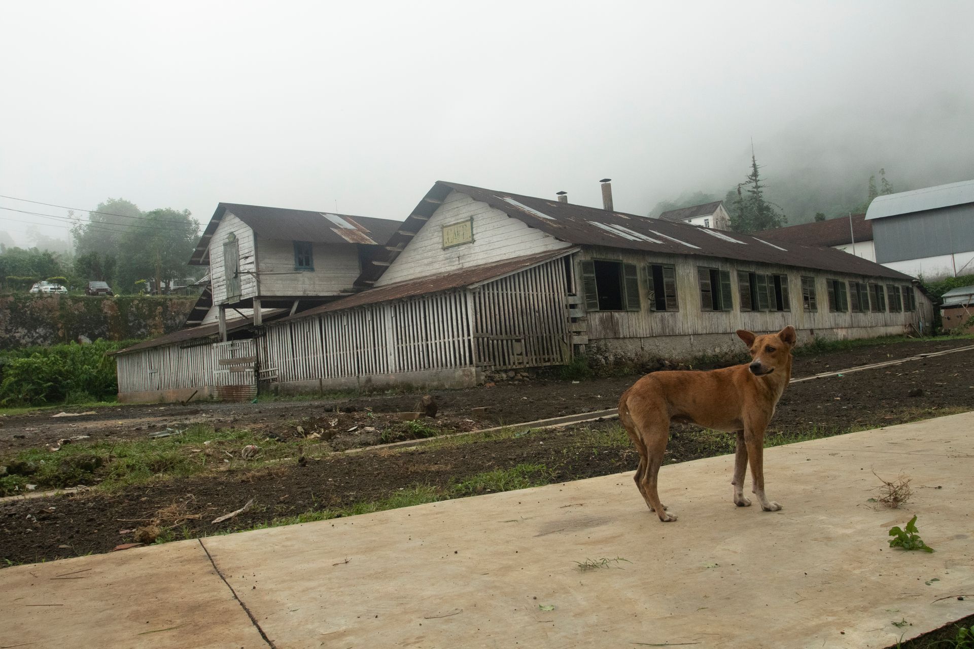 PROMISED LAND: The remnants of modern slavery in São Tomé /capital of São Tomé and Principe -Gulf of Guinea by António Cruz - 2 - 21
