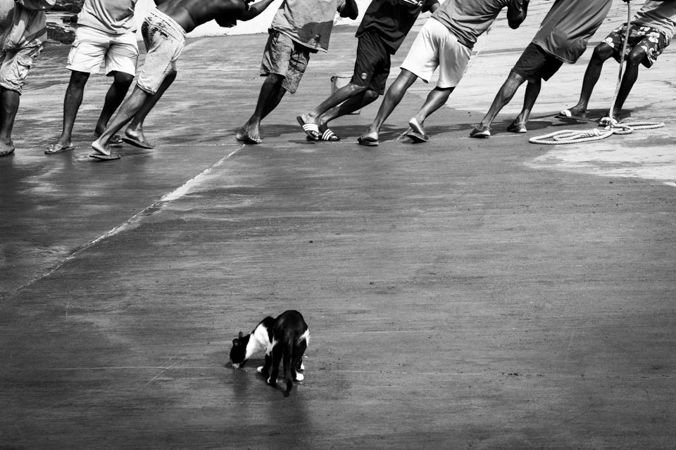 ESPORO - Cape Verde Migratory Exodus by António Cruz - 2 - 29