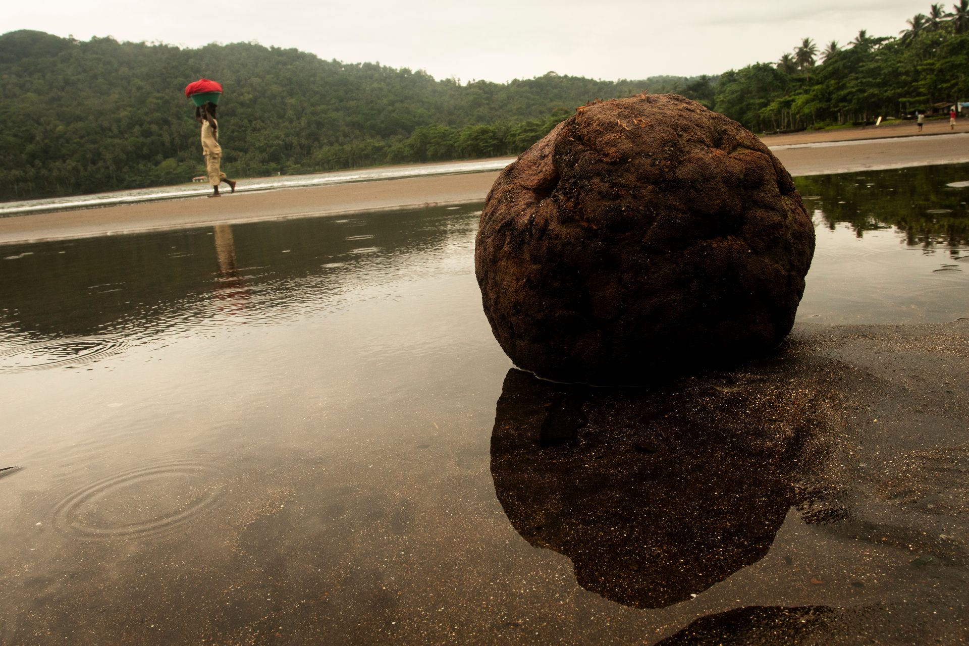PROMISED LAND: The remnants of modern slavery in São Tomé /capital of São Tomé and Principe -Gulf of Guinea by António Cruz - 2 - 2