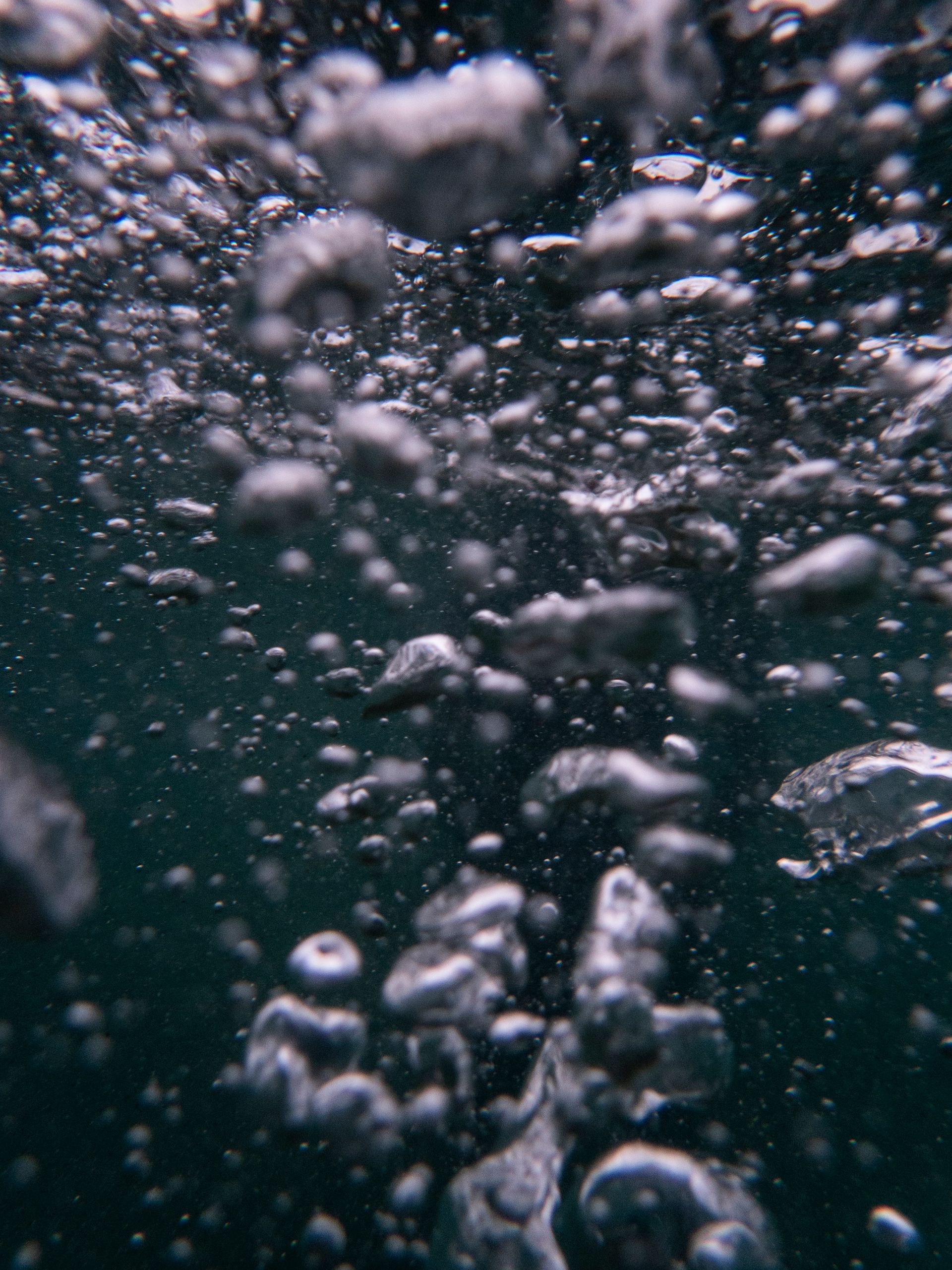 PROMISED LAND: The remnants of modern slavery in São Tomé /capital of São Tomé and Principe -Gulf of Guinea by António Cruz - 2 - 16