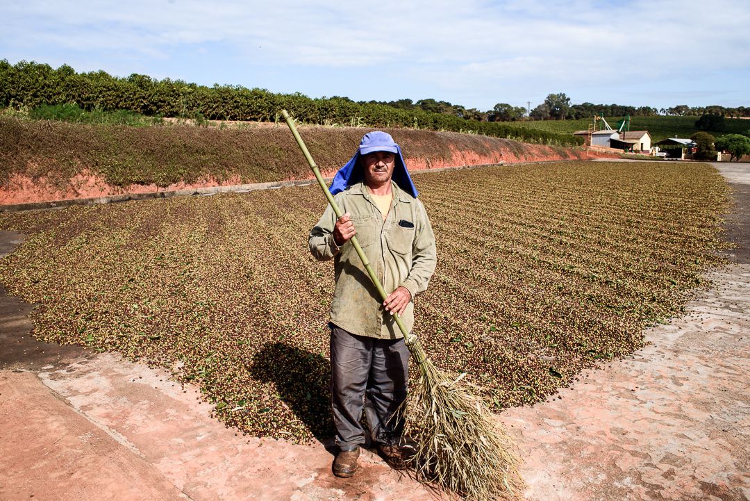 ERASURE : a cultural catalogue and descent repair in Minas Gerais, that deals with the conflicts of 'social whitening' and neglect of Brazilian History since the times of slavery. By Monique Olive - 3 - 2