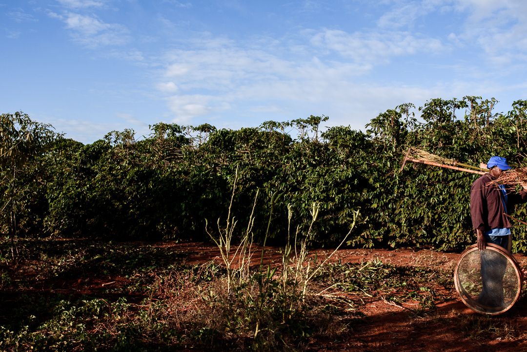 ERASURE : a cultural catalogue and descent repair in Minas Gerais, that deals with the conflicts of 'social whitening' and neglect of Brazilian History since the times of slavery. By Monique Olive - 3 - 5