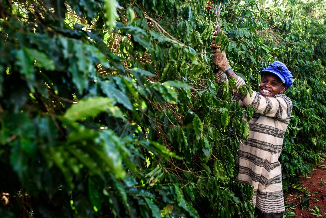 ERASURE : a cultural catalogue and descent repair in Minas Gerais, that deals with the conflicts of 'social whitening' and neglect of Brazilian History since the times of slavery. By Monique Olive - 3 - 1