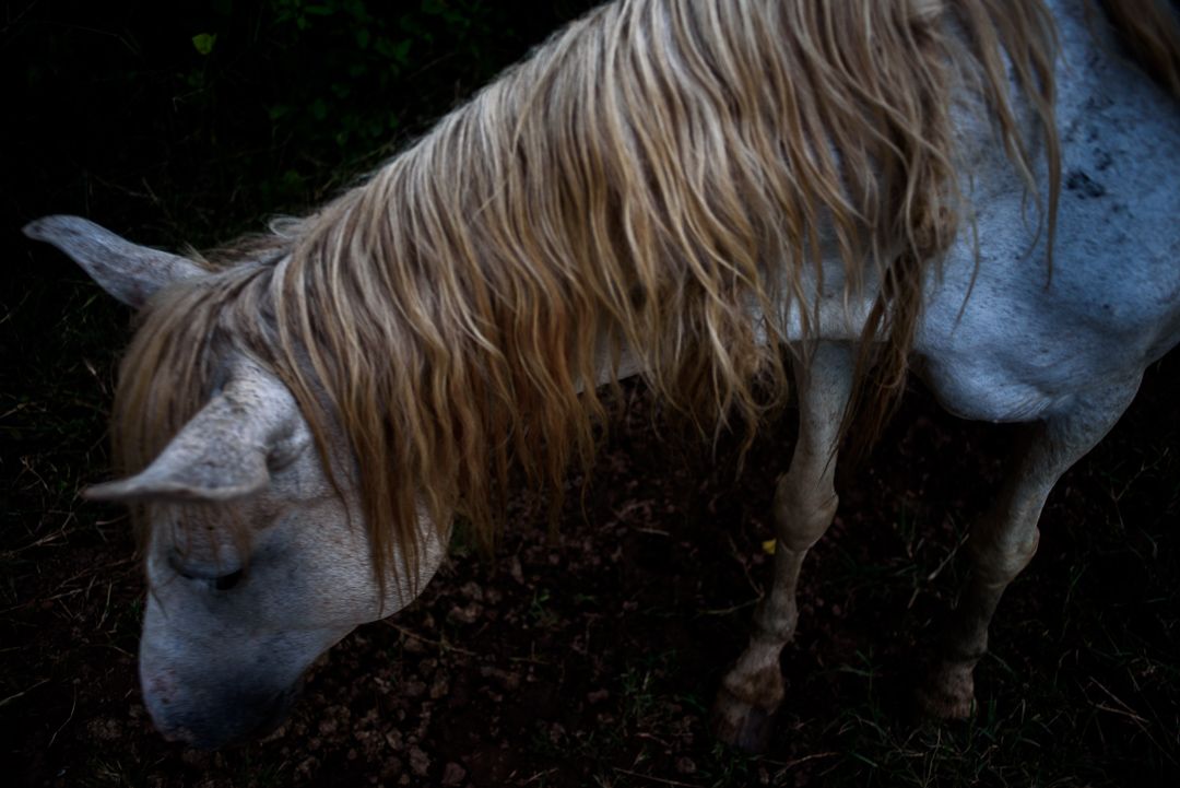 MOTHERHOOD BURNOUT and the postpartum ceremonies in Latin America by Monique Olive - 5 - 7