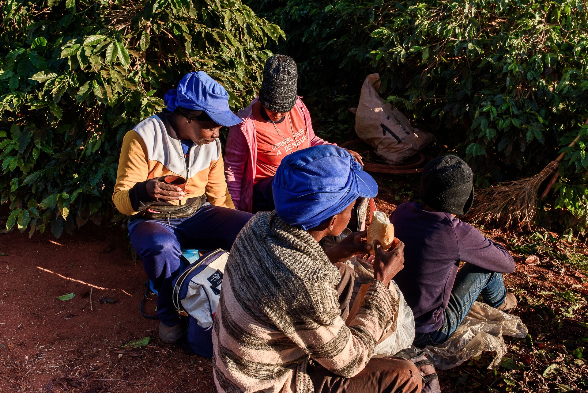 MATRIARCHS OF THE COFFEE FIELDS : the social shift on the leadership and identity of a powerful conservative industry by Monique Olive - 2 - 1