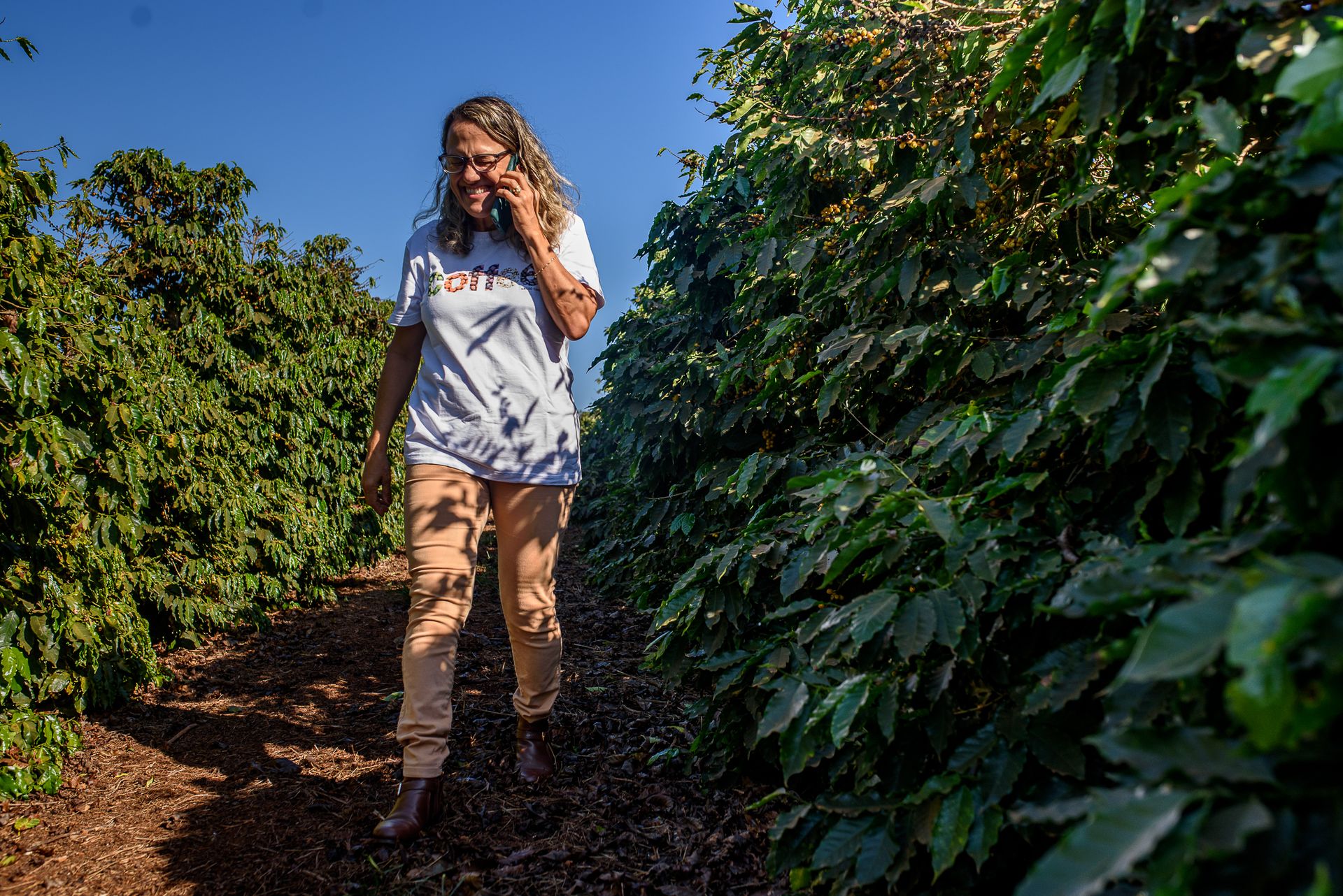 MATRIARCHS OF THE COFFEE FIELDS : the social shift on the leadership and identity of a powerful conservative industry by Monique Olive - 3 - 3