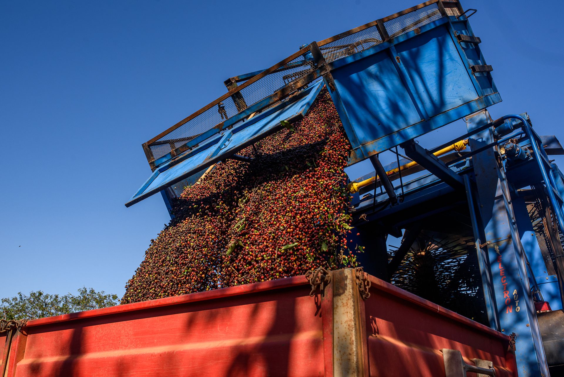 MATRIARCHS OF THE COFFEE FIELDS : the social shift on the leadership and identity of a powerful conservative industry by Monique Olive - 3 - 8