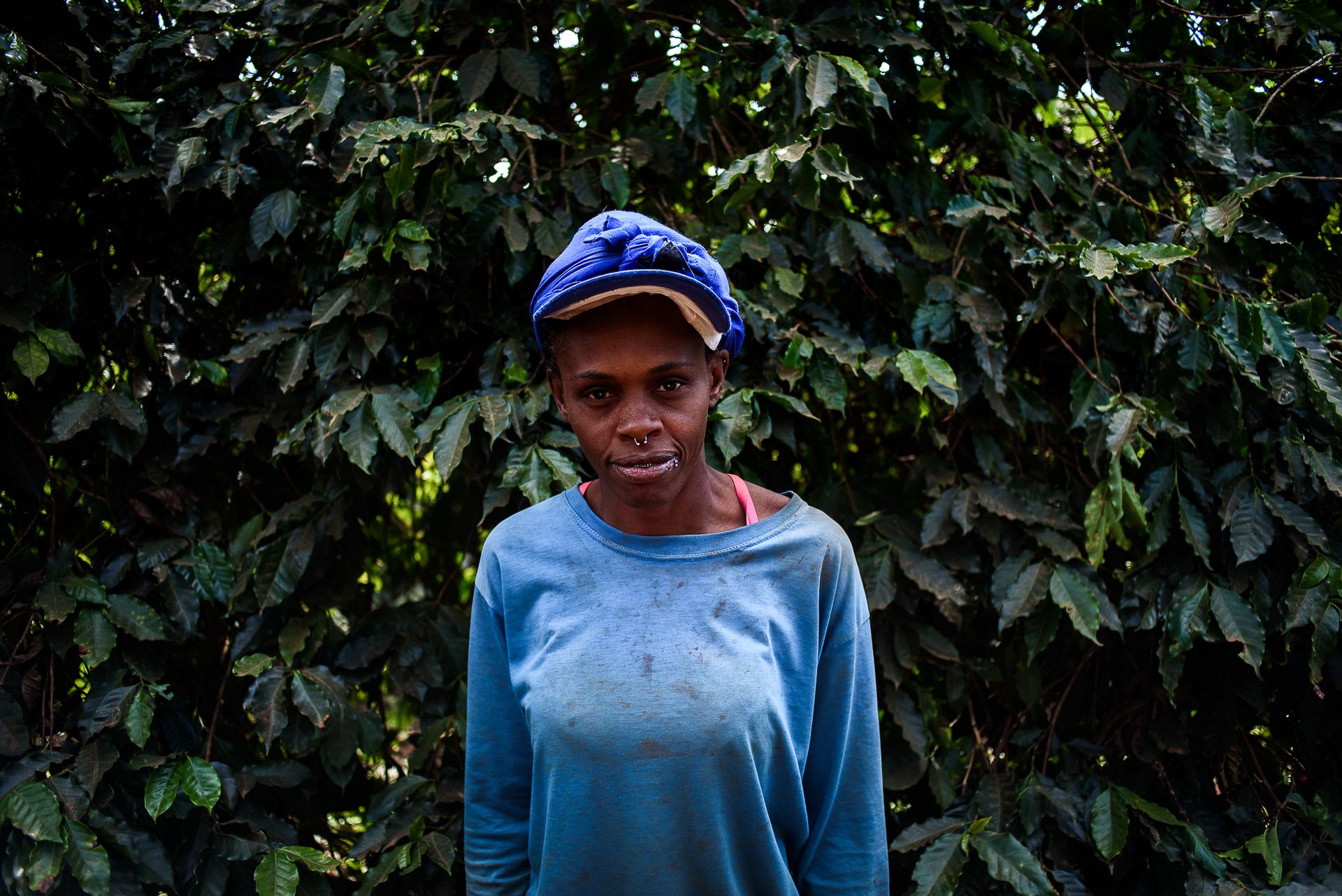 MATRIARCHS OF THE COFFEE FIELDS : the social shift on the leadership and identity of a powerful conservative industry by Monique Olive - 2 - 6