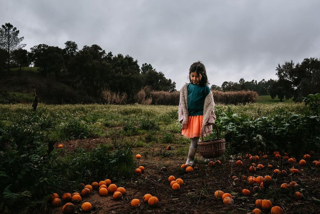 ALfabetismo Visual & AlgaAgency chegam em Sydney/Austrália - 5 - 0