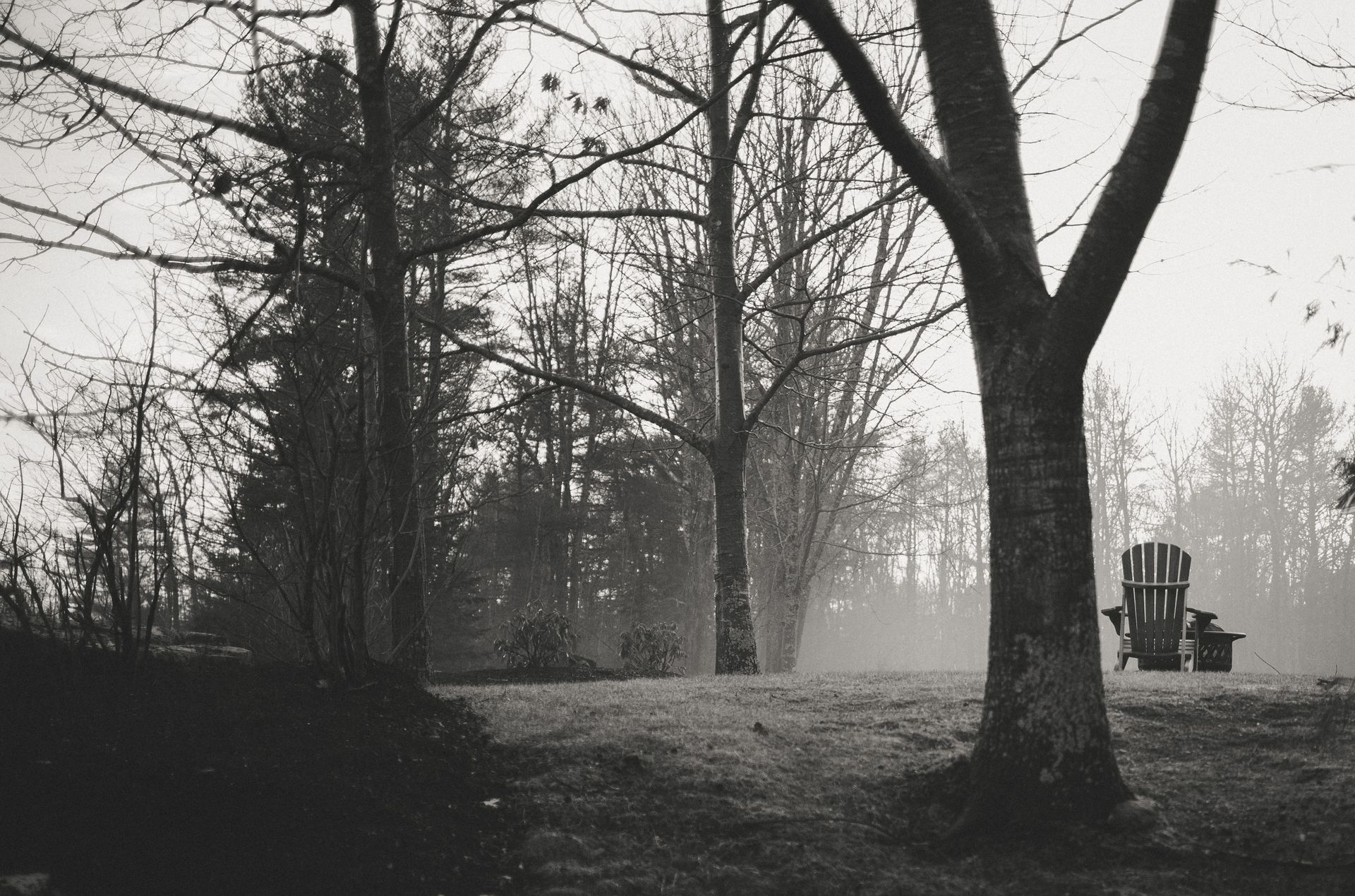 Nothing is Static by Ju Holck - 2 - 14