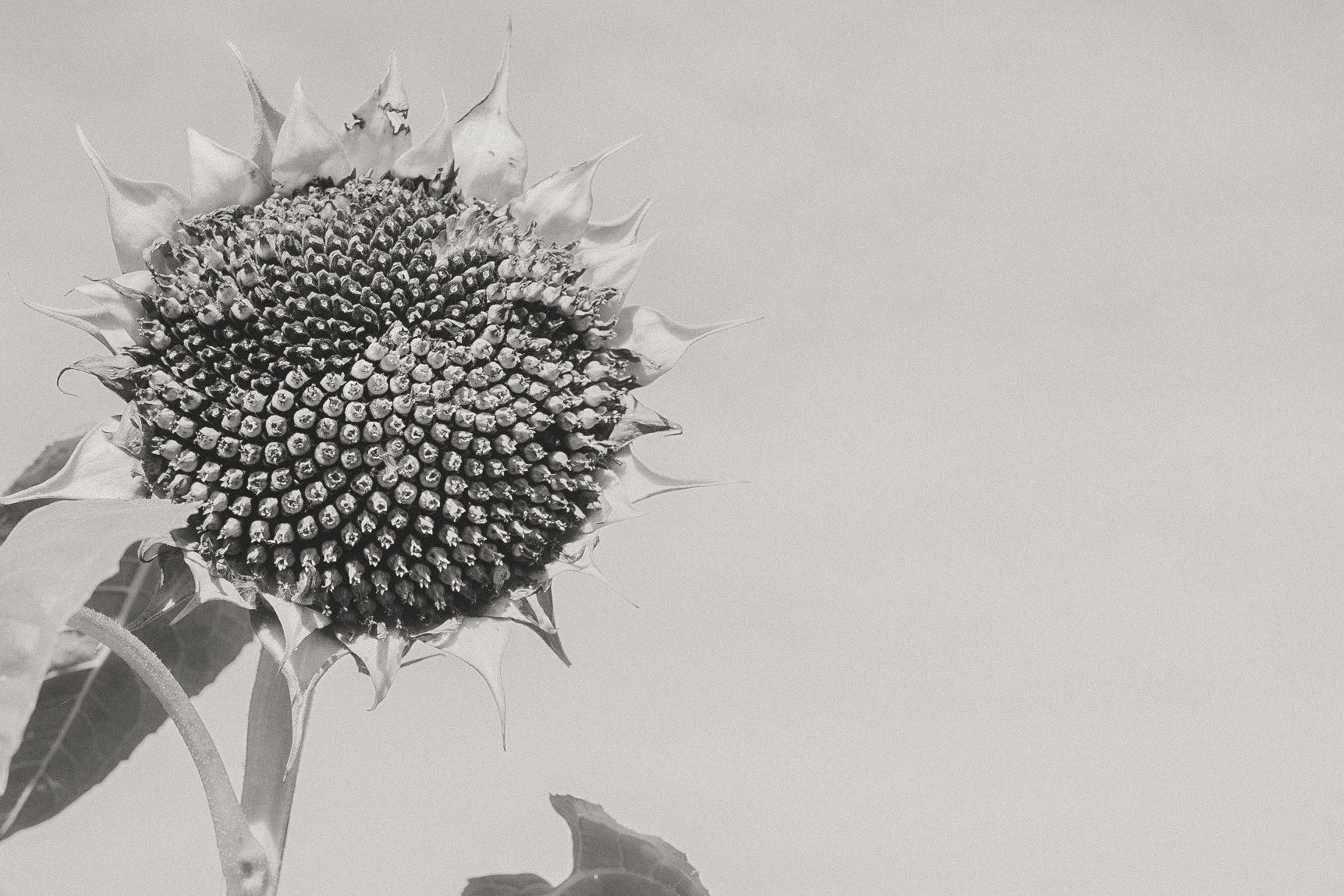 Nothing is Static by Ju Holck - 2 - 8