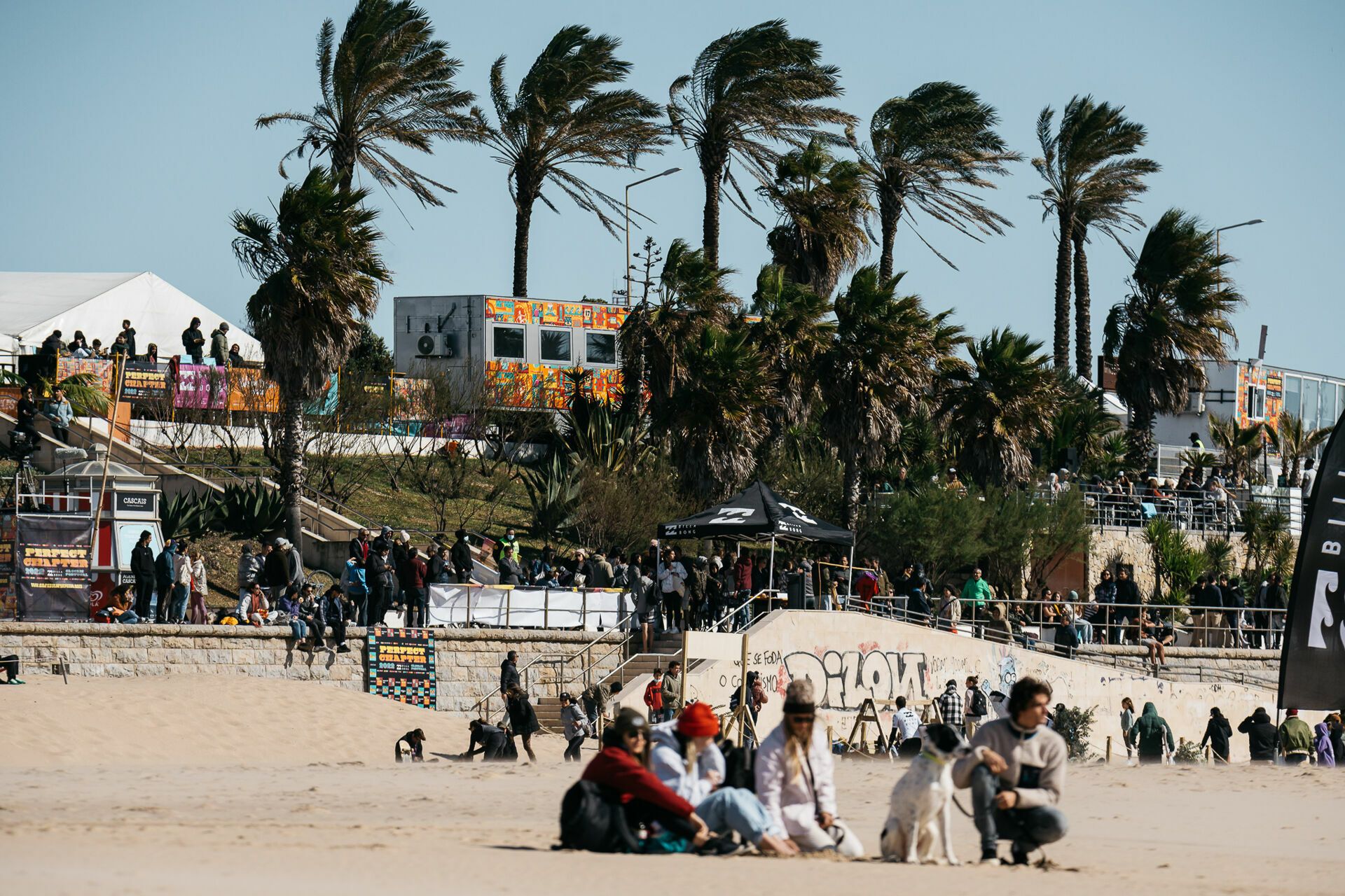 Capitulo Perfeito 2022 - 2 - 0