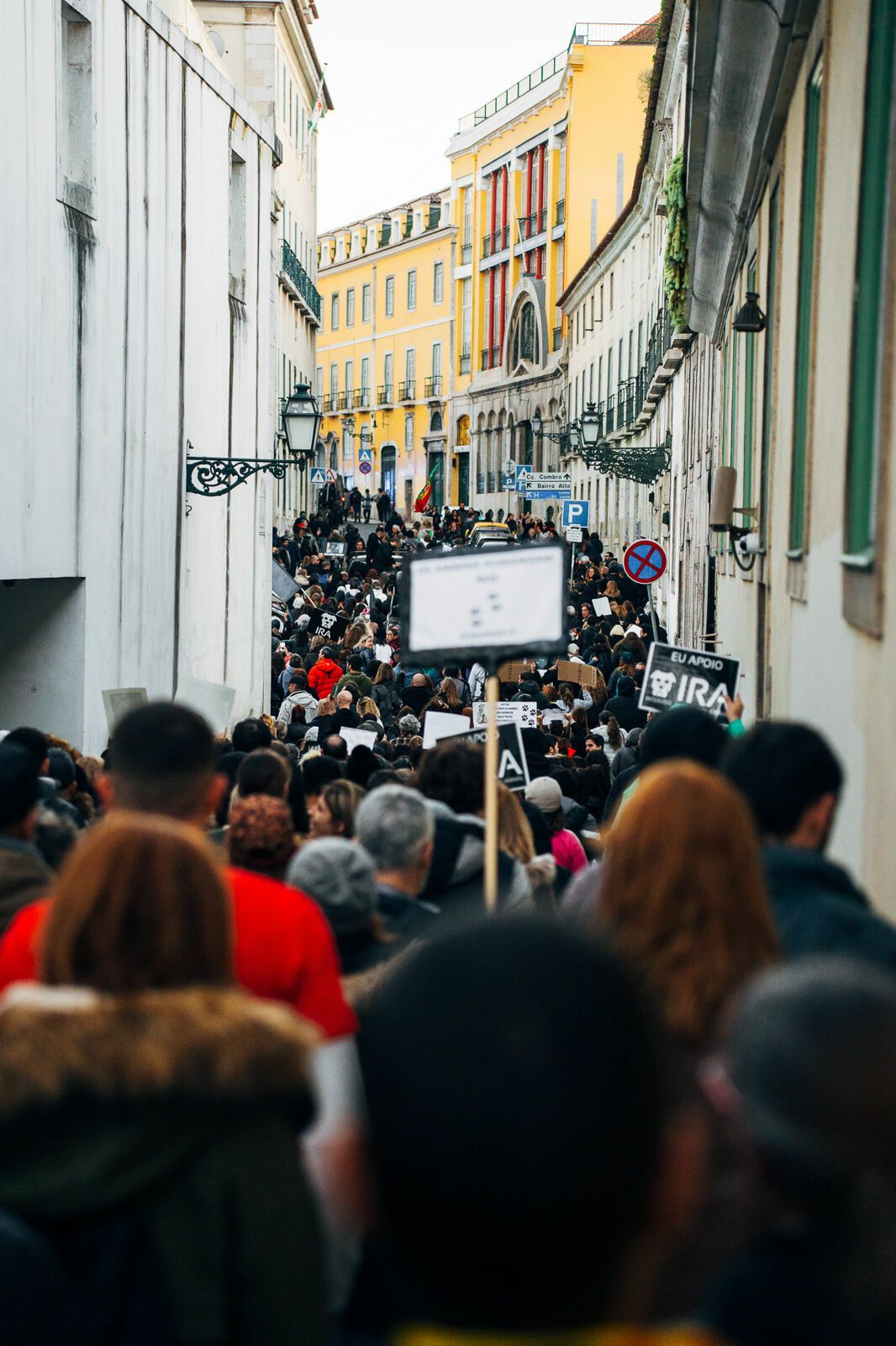 Manifestação De Defesa Animal - 1 - 0
