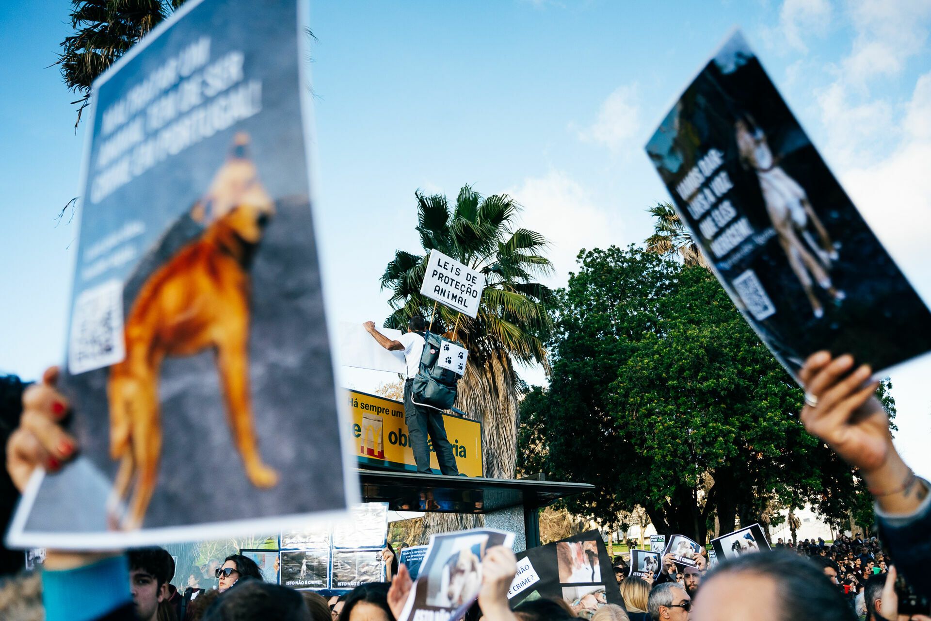 Manifestação De Defesa Animal - 1 - 0