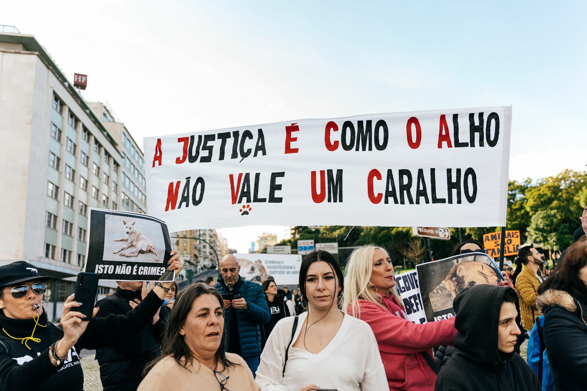 Manifestação De Defesa Animal - 1 - 0