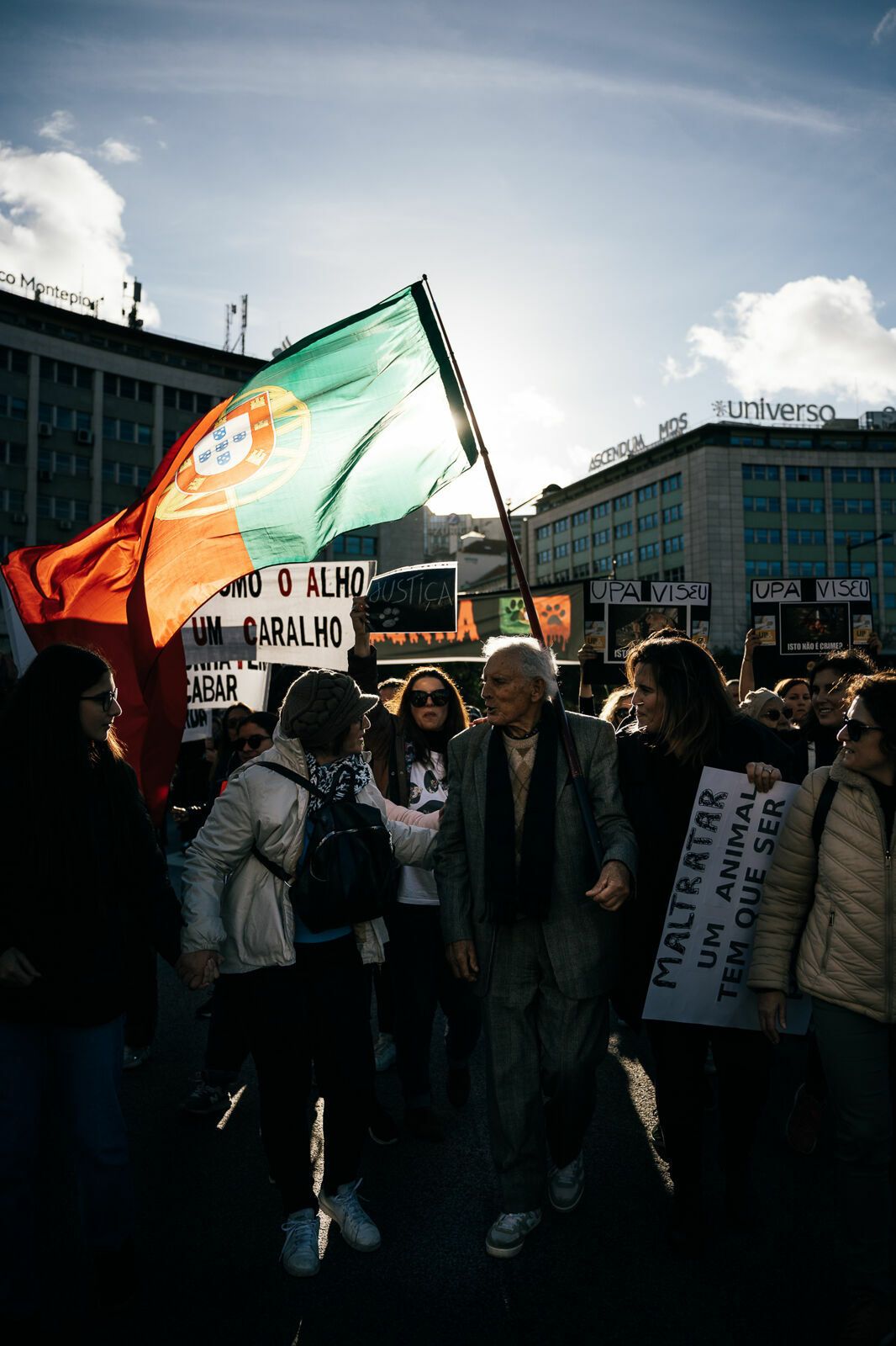 Manifestação De Defesa Animal - 1 - 0