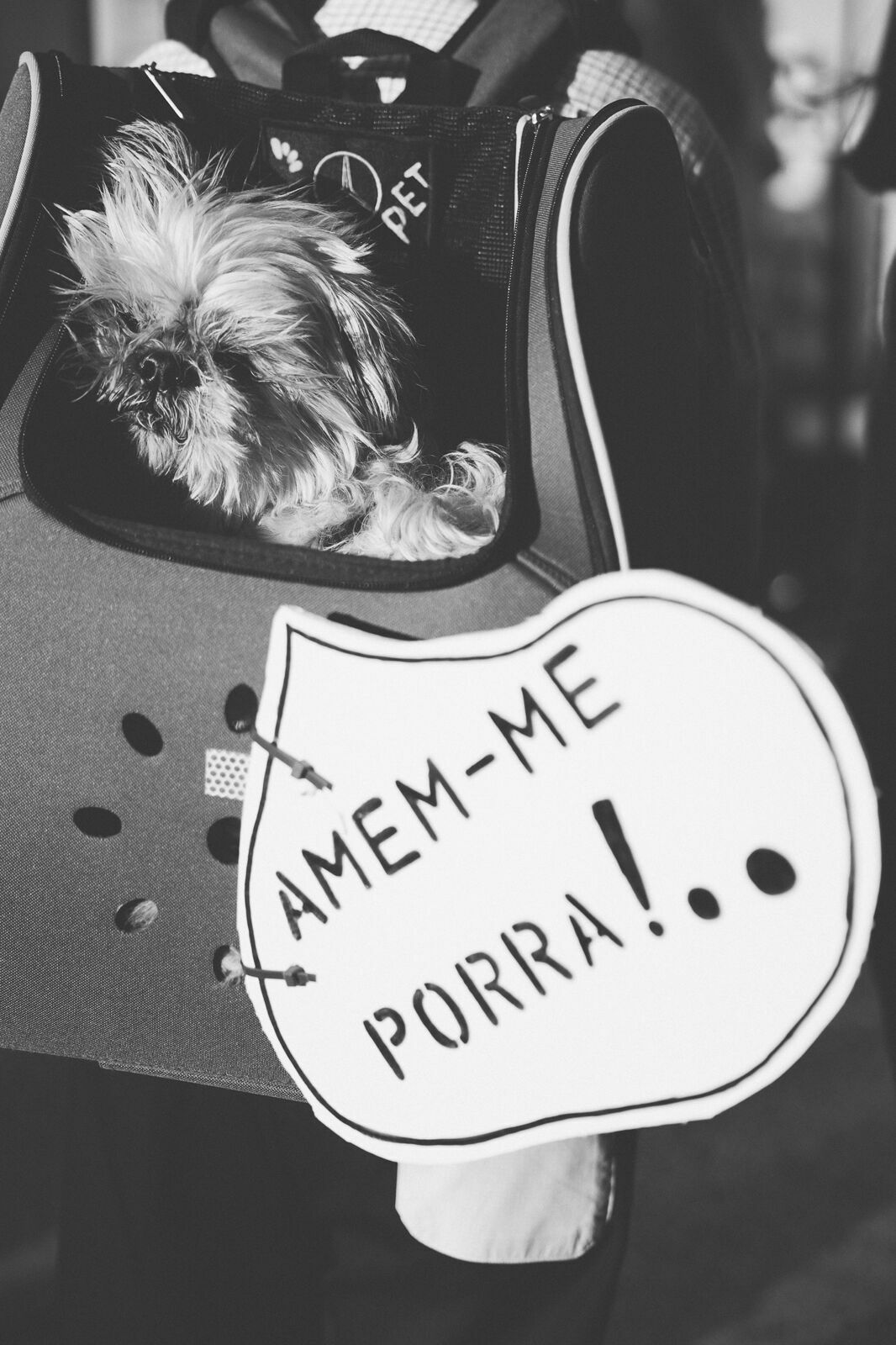 Manifestação De Defesa Animal - 1 - 0