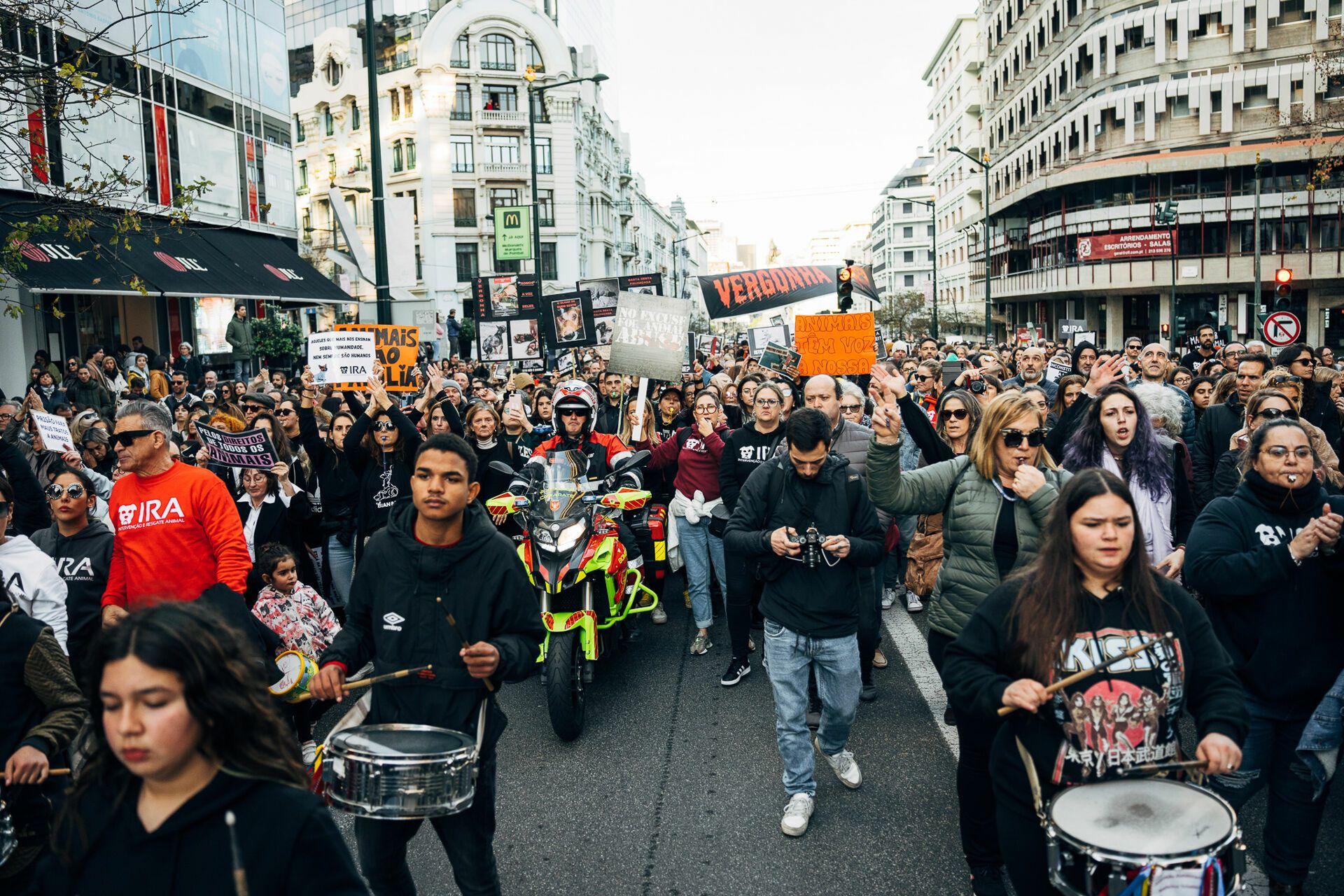Manifestação De Defesa Animal - 1 - 0