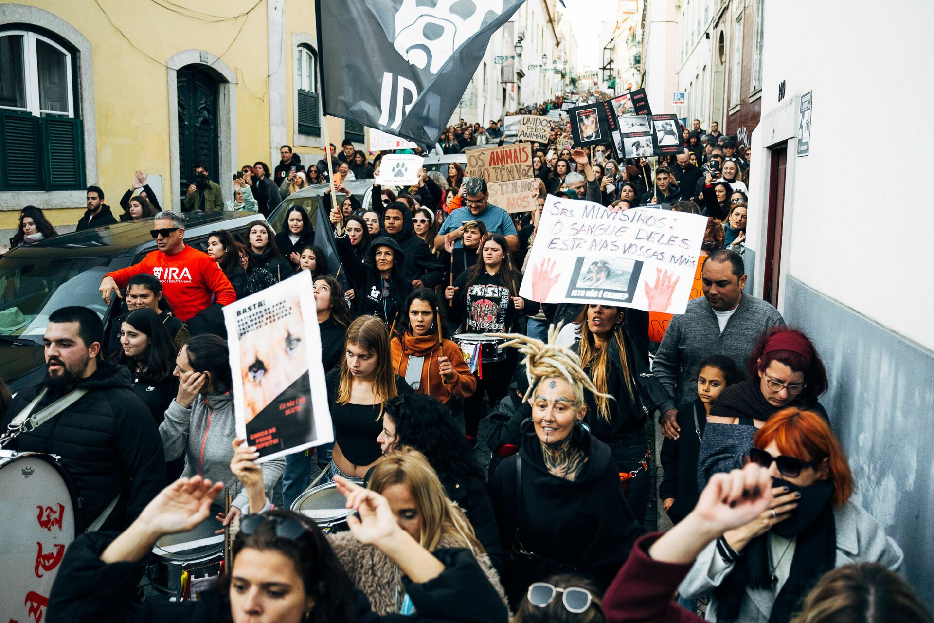 Manifestação De Defesa Animal - 1 - 0