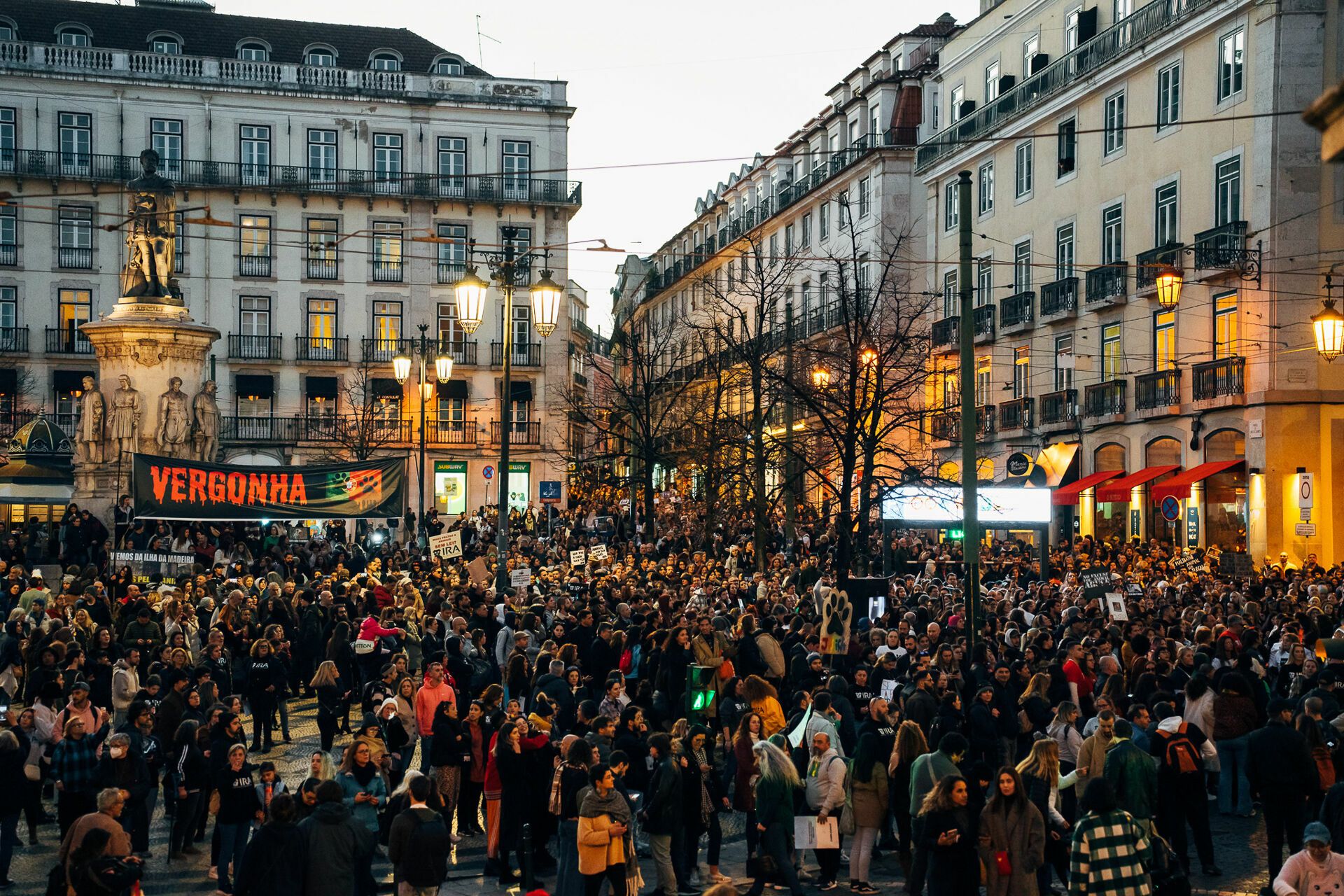 Manifestação De Defesa Animal - 1 - 0