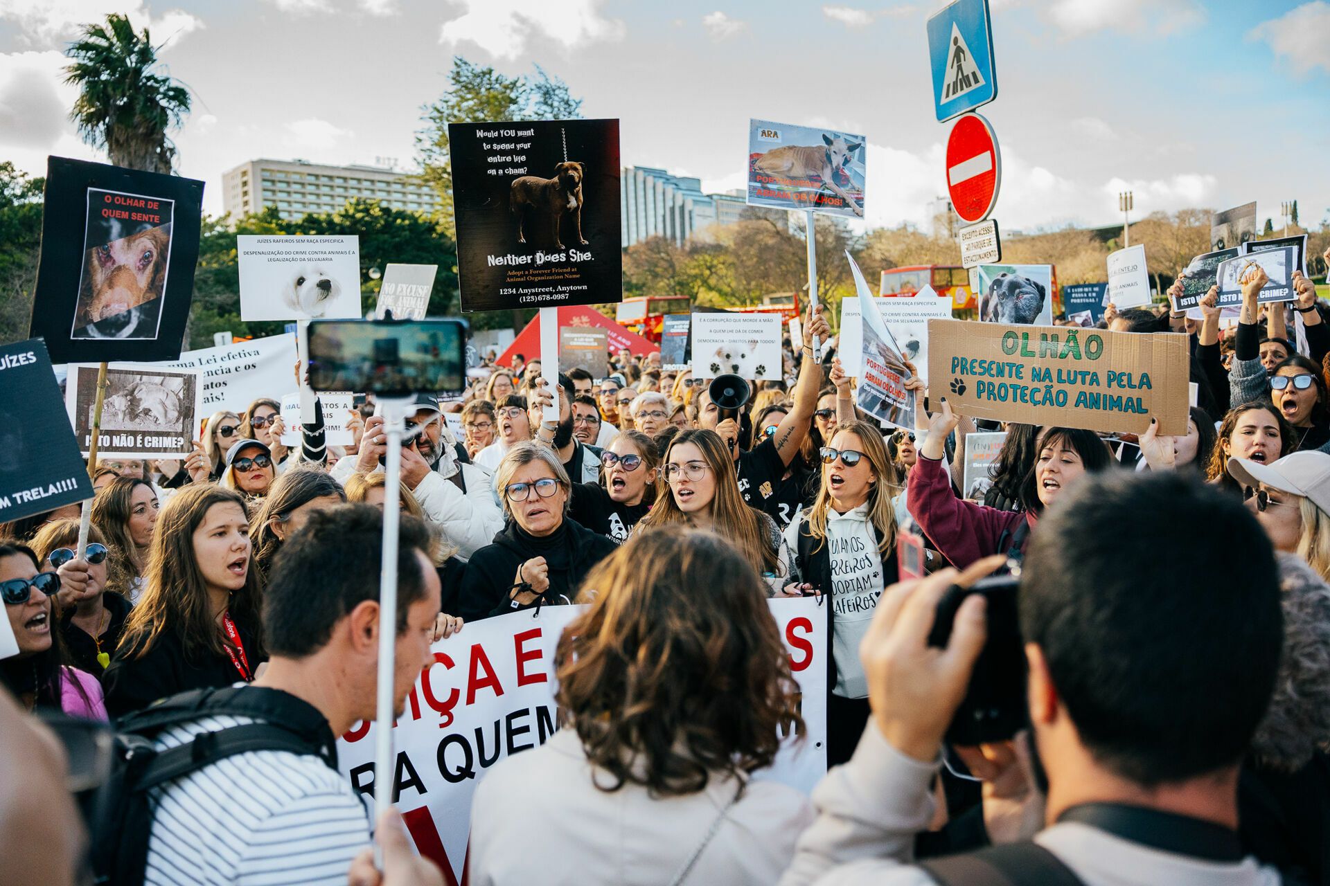 Manifestação De Defesa Animal - 1 - 0