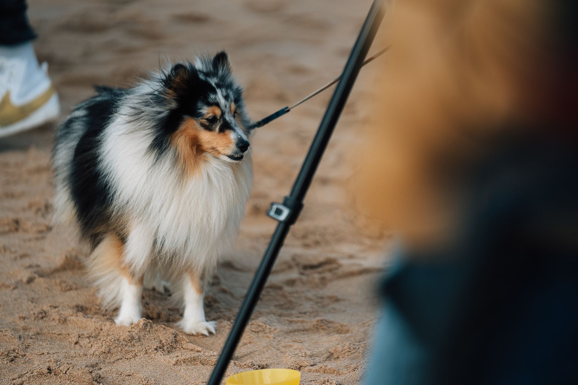 Capítulo Perfeito 2023 - 2 - 0