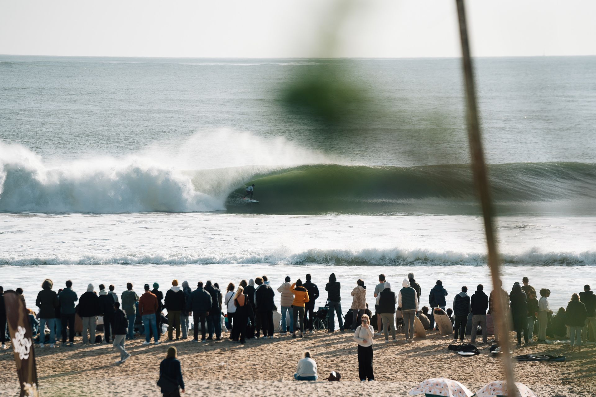 Capítulo Perfeito 2023 - 2 - 0