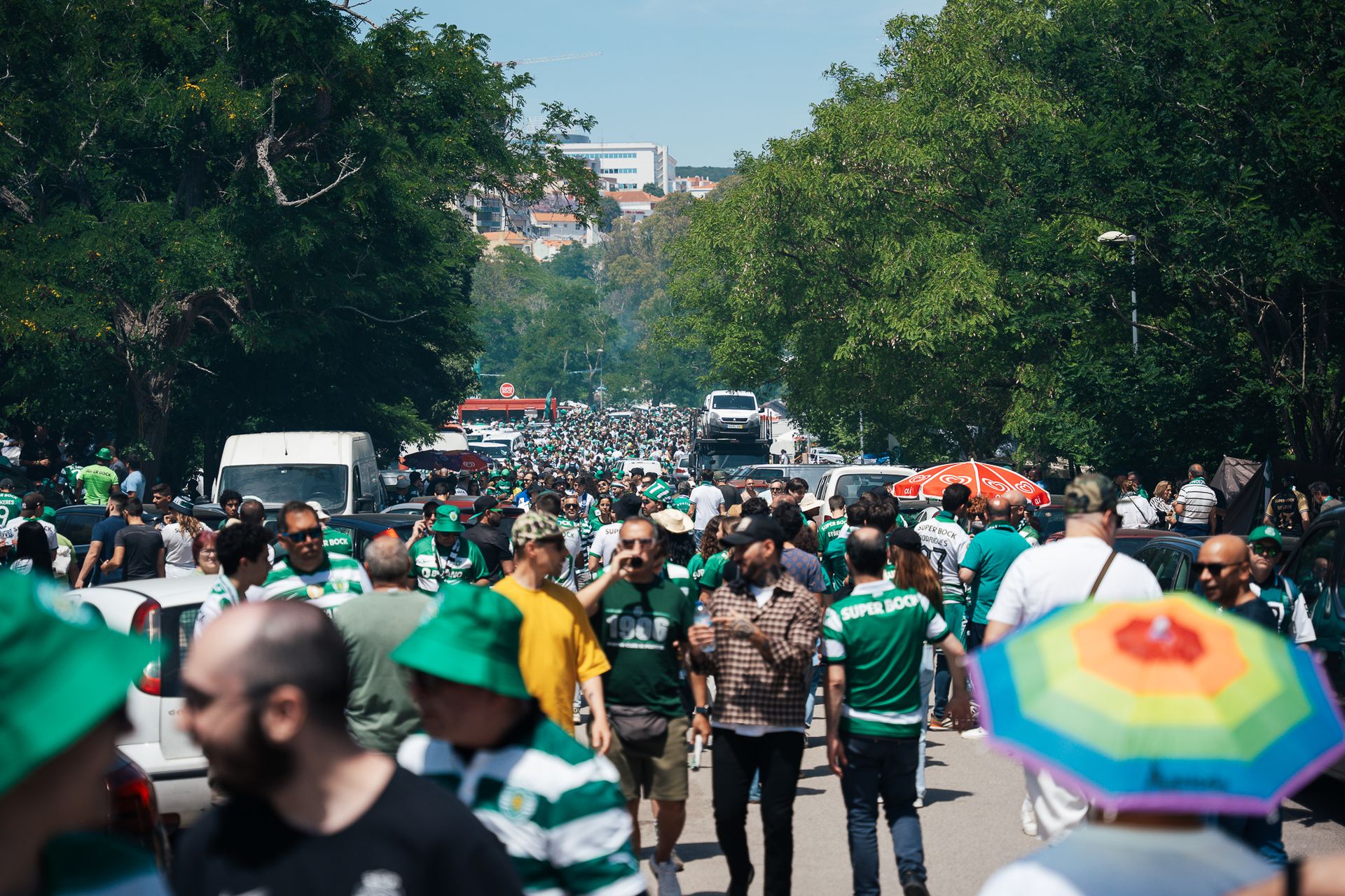 Taça de Portugal 2024 // Sporting C.P x F.C Porto - 2 - 0