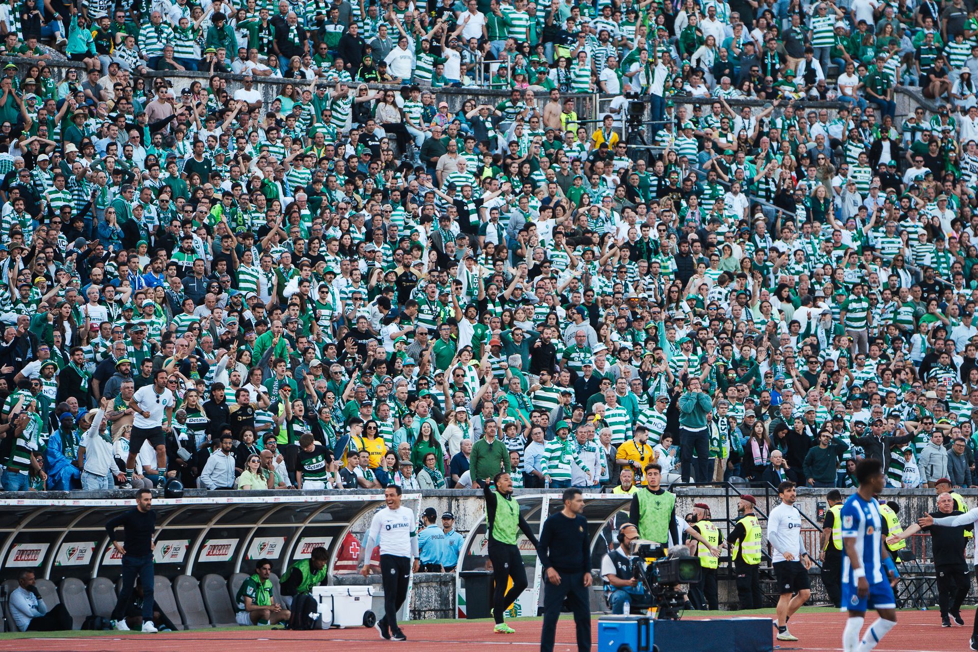 Taça de Portugal 2024 // Sporting C.P x F.C Porto - 2 - 0